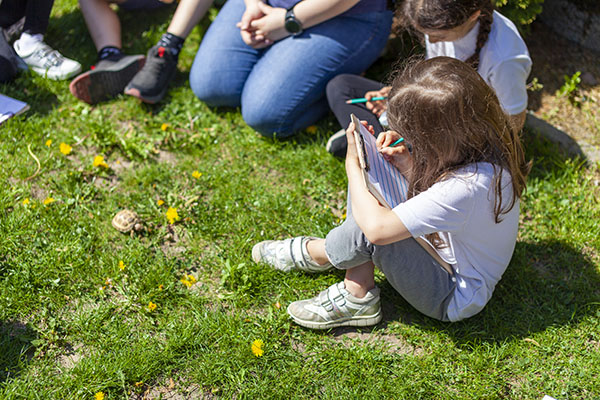 zajecia plenerowe szkola montessori zolw koko