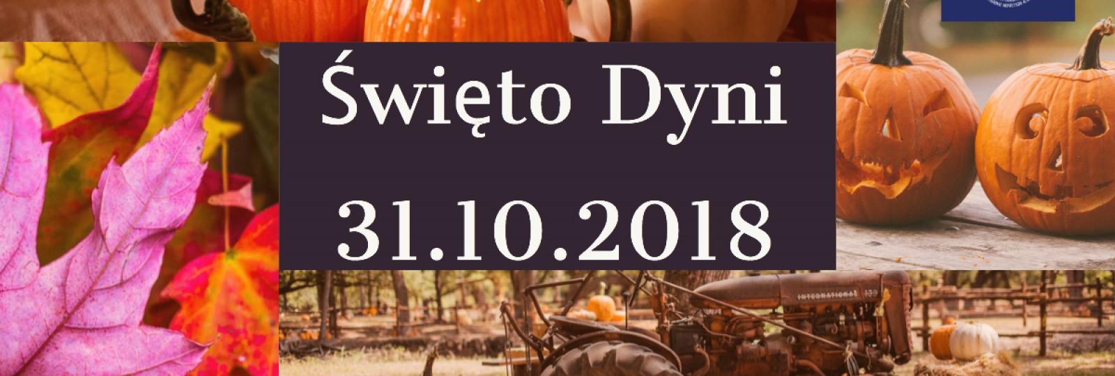 Święto Dyni 31.10.2018